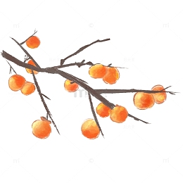 秋天古风水墨画秋甜柿子水果食物插画