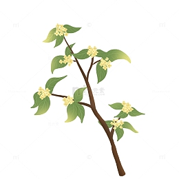 中秋桂花飘香元素