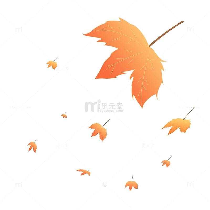 秋季橙色枫叶手绘简约漂浮叶子