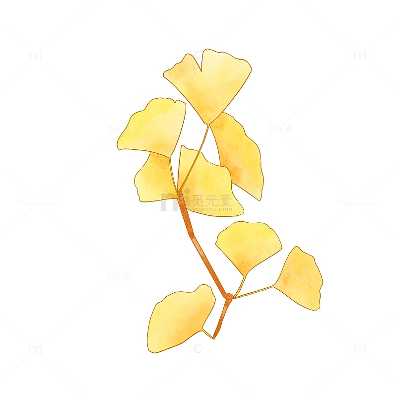 秋天黄色枫叶树枝植物手绘插画