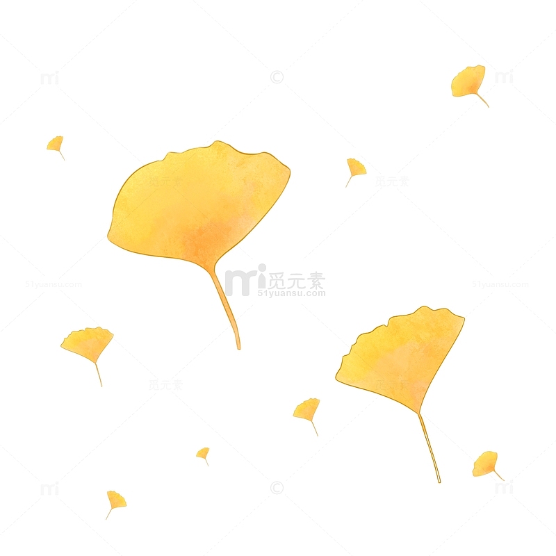 秋天黄色扇形银杏叶漂浮