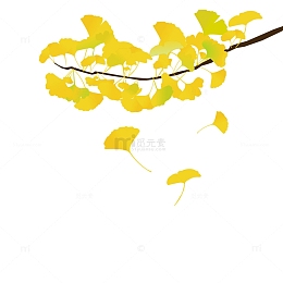 黄色银杏叶子矢量手绘立秋中秋植物