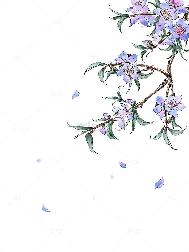国风手绘水彩水墨风花卉植物素材