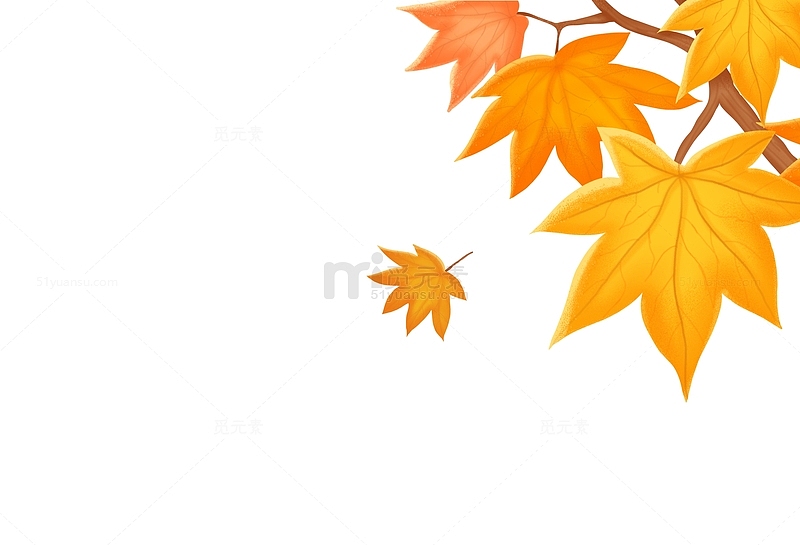 黄色枫叶立秋秋天叶子装饰手绘噪点插画素材
