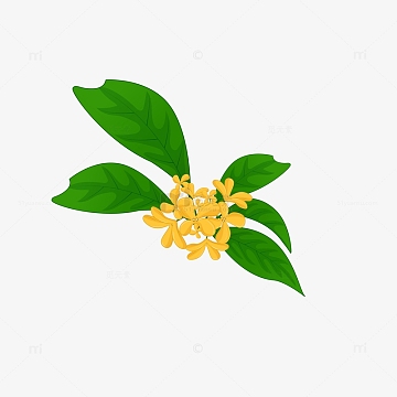 金色绿色小清新金色桂花中秋手绘矢量插画