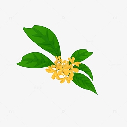 桂花装饰