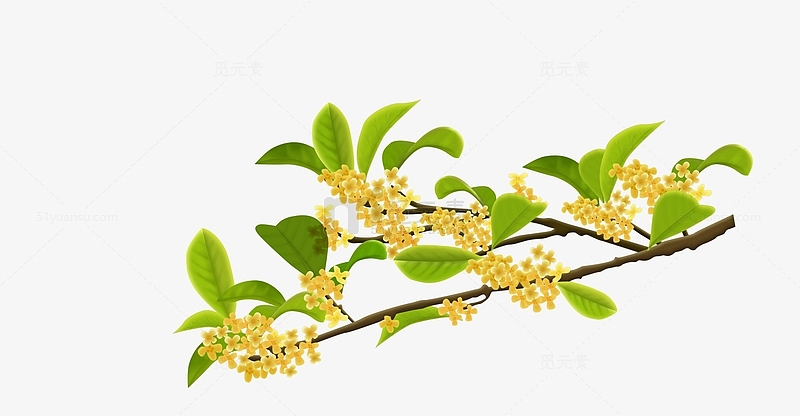 黄色清新桂花中秋节装饰元素免抠素材免费下载_觅元素51yuansu.com
