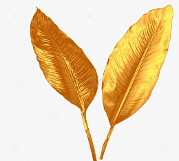 金色金箔树叶ps图片