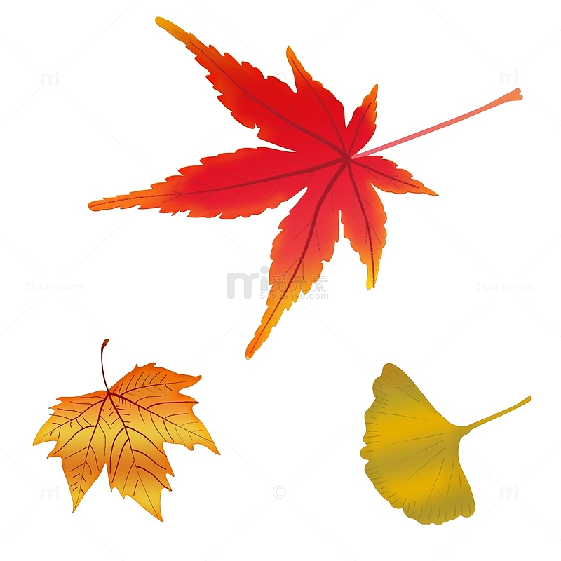 棕红立秋节气渐变手绘枫叶矢量透明元素
