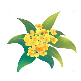 桂花飘香中秋元素