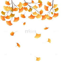 金黄的银杏叶立秋元素