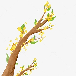 手绘金色桂花pngpsdpng中国风金色桂花装饰画pngpngpngpsdpng卡通桂