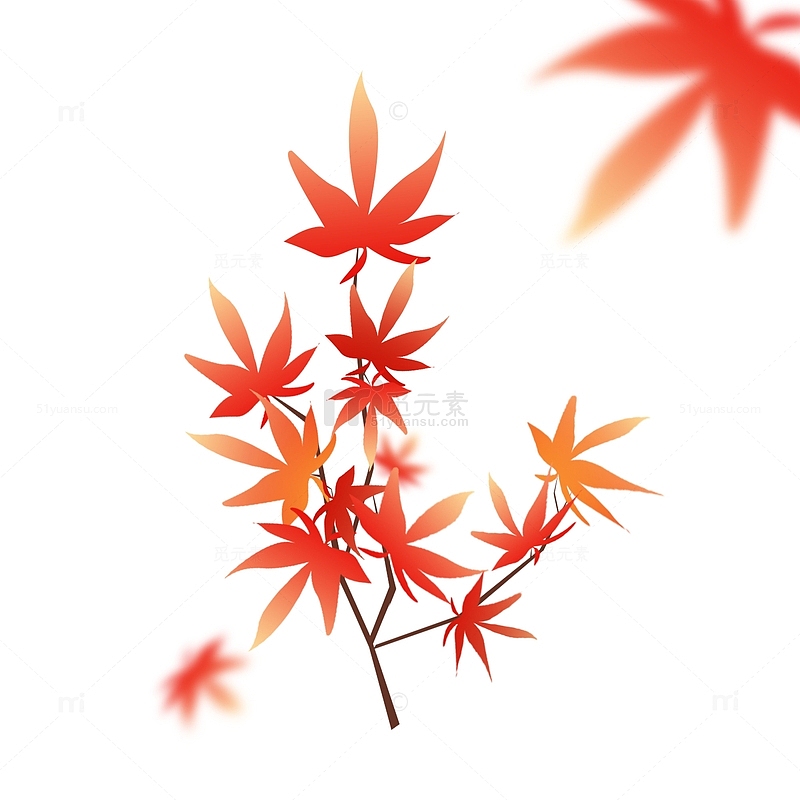 秋天立秋红色枫叶手绘植物元素