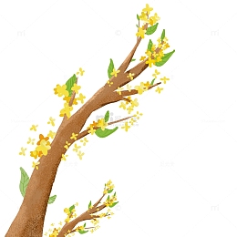 中秋桂花树植物树木手绘