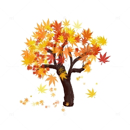 秋天枫树氛围元素