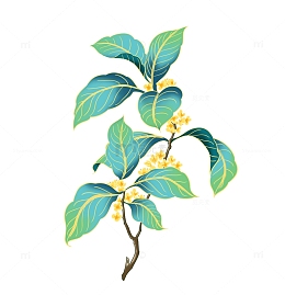 绿色国潮中秋桂花