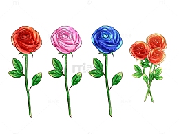 玫瑰花手绘质感素材