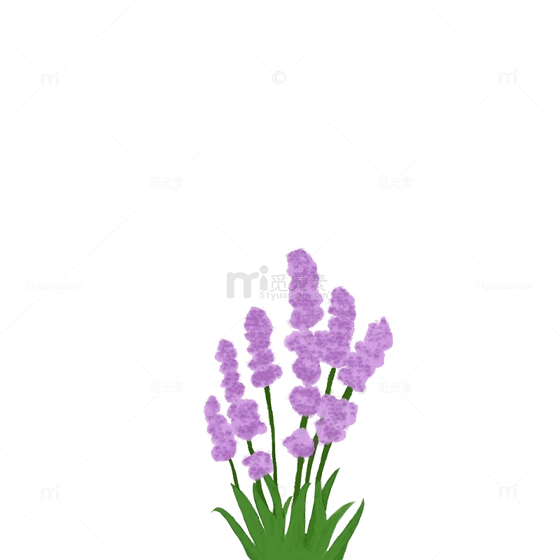 紫色小花野花装饰