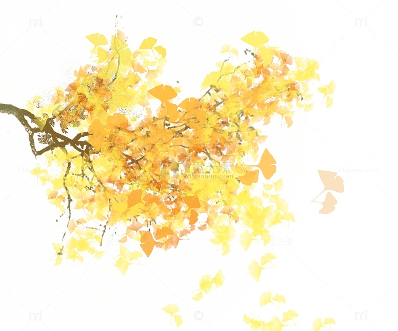 立秋秋天金黄色银杏树枝