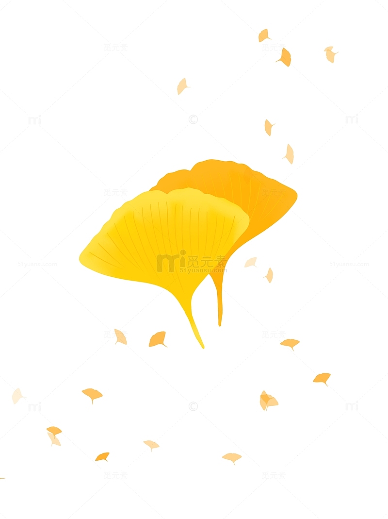 黄橘色秋天银杏树叶装饰元素立秋手绘图