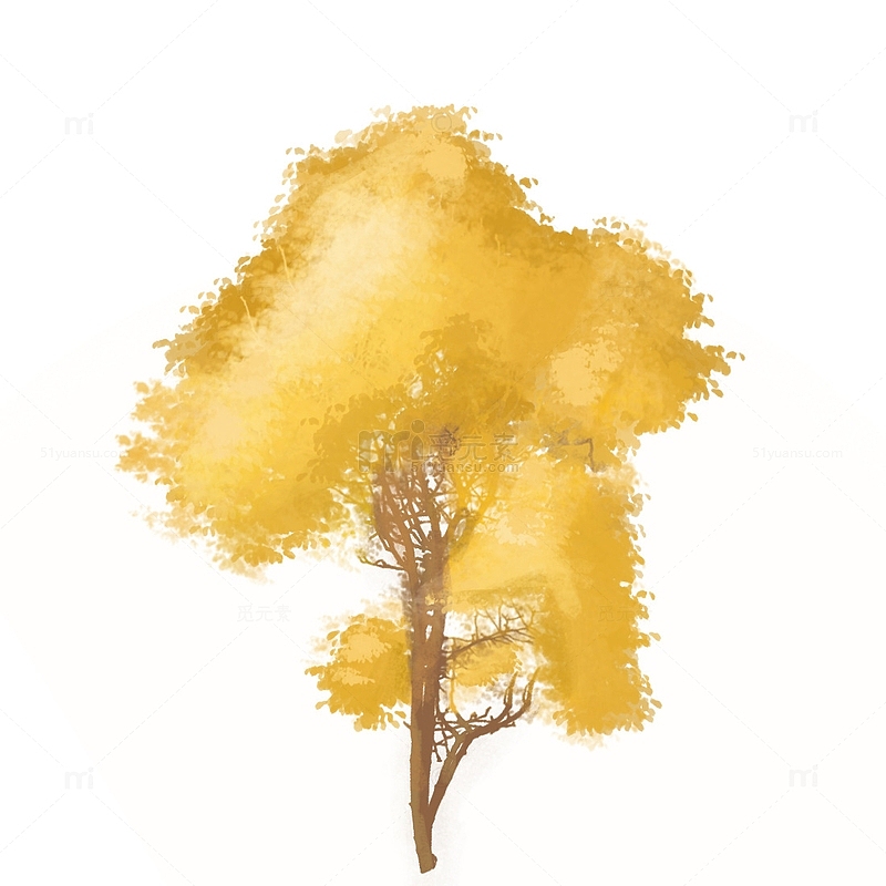 立秋秋天金黄树木