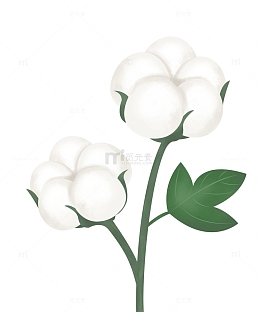 立秋天棉花植物卡通素材