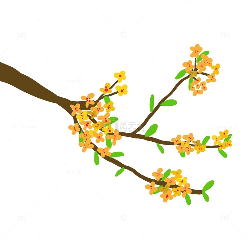 黄色桂花中秋节树枝花朵手绘