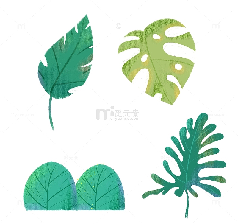 手绘绿色小清新热带植物