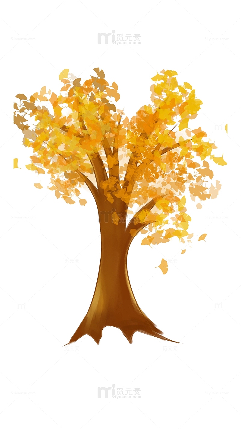 立秋金黄银杏树