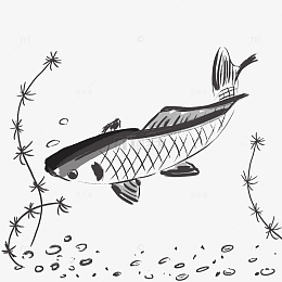 黑白小清新水墨风手绘鲤鱼png元素