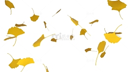 简约立体立秋树叶装饰