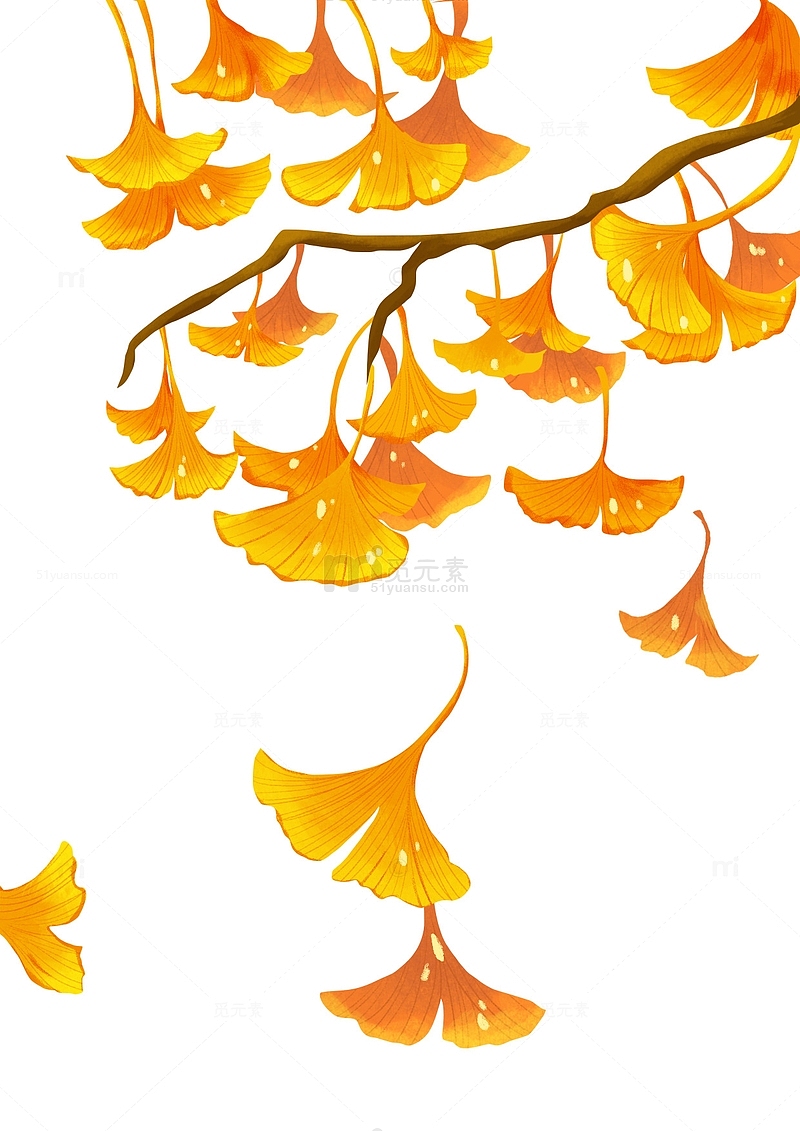 黄色手绘风立秋银杏叶手绘图