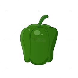 绿色小清新青椒蔬菜手绘矢量插画
