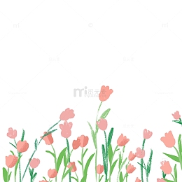 阳光下郁金香鲜花花丛植物