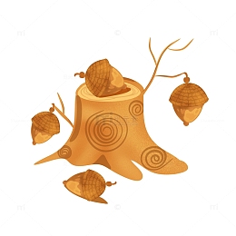 手绘立秋大颗橡树棕色的果子