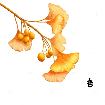 背景psdjpg立秋叶子银杏枫叶元素psdpng绿色金边洒金手绘叶子国潮装饰