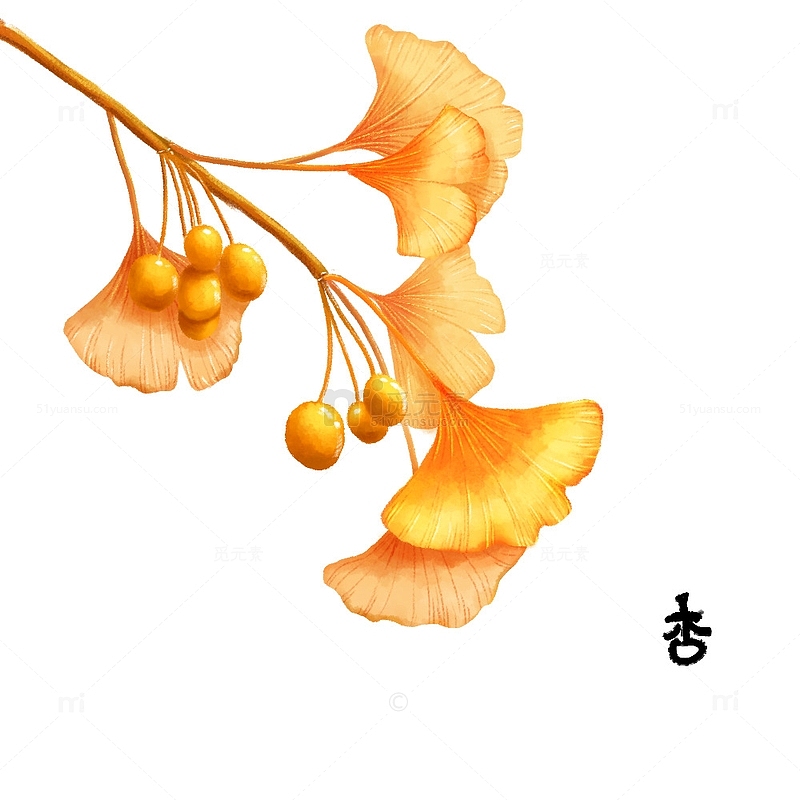黄色银杏叶秋天立秋素材手绘树叶元素