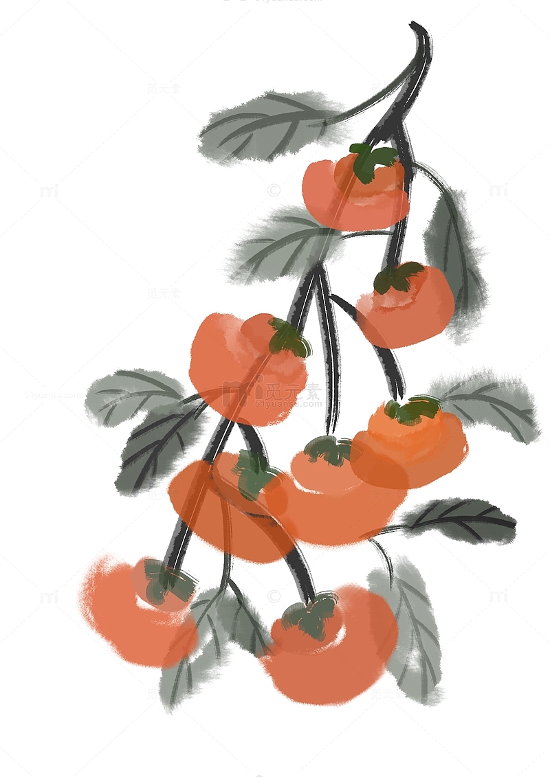 橘红国风立秋柿子手绘国画