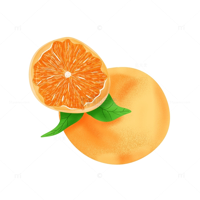 橙色立秋丰收手绘桔子清新水果味