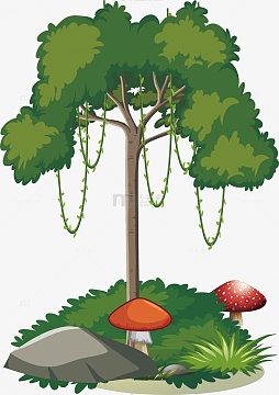森丛素材_森丛图片元素-觅元素