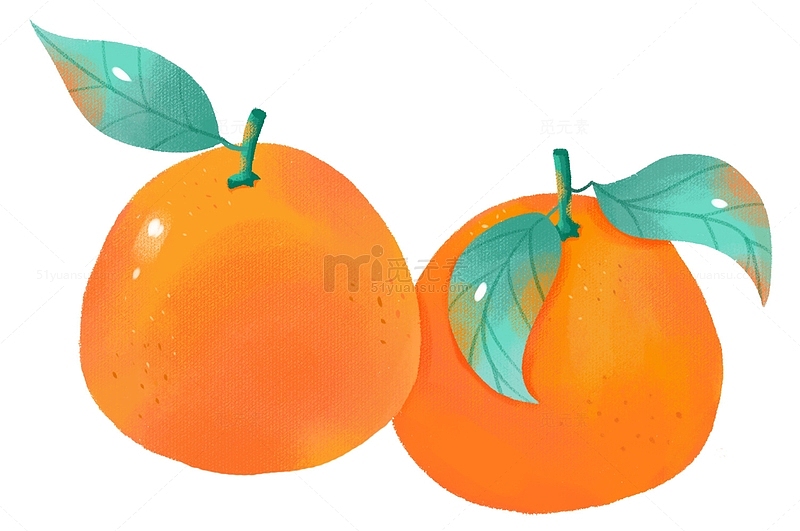 手绘板绘西柚橙色橙子