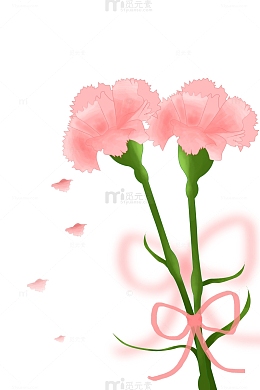 教师节小清新粉色康乃馨花束