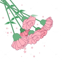 教师节手绘粉色康乃馨花束