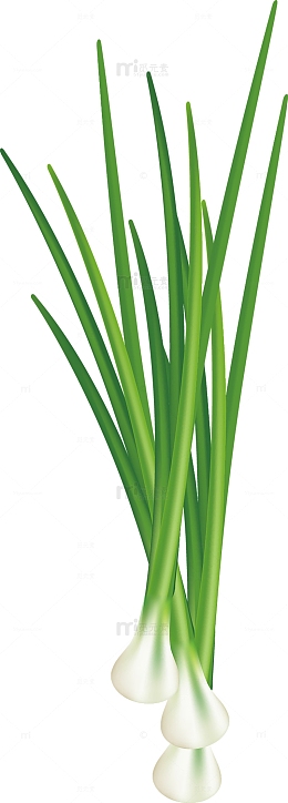 绿色手绘大葱元素