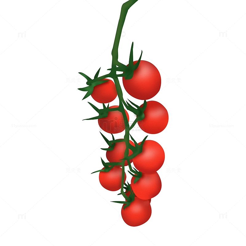 小番茄圣女果西红柿手绘