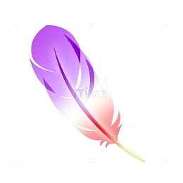 精致漂亮羽毛实物免抠卡通插画素材