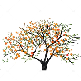 小清新植物橘子橘子树桔子秋天元素