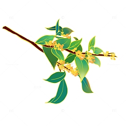 手绘国潮花卉桂花中秋节秋天元素