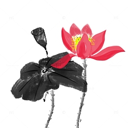 手绘水墨荷花莲花花卉元素