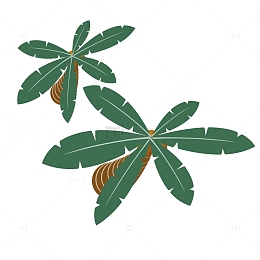 椰树俯视图矢量元素